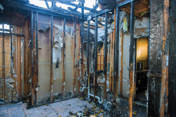 Professional Soot Removal technician working in Hugo, MN